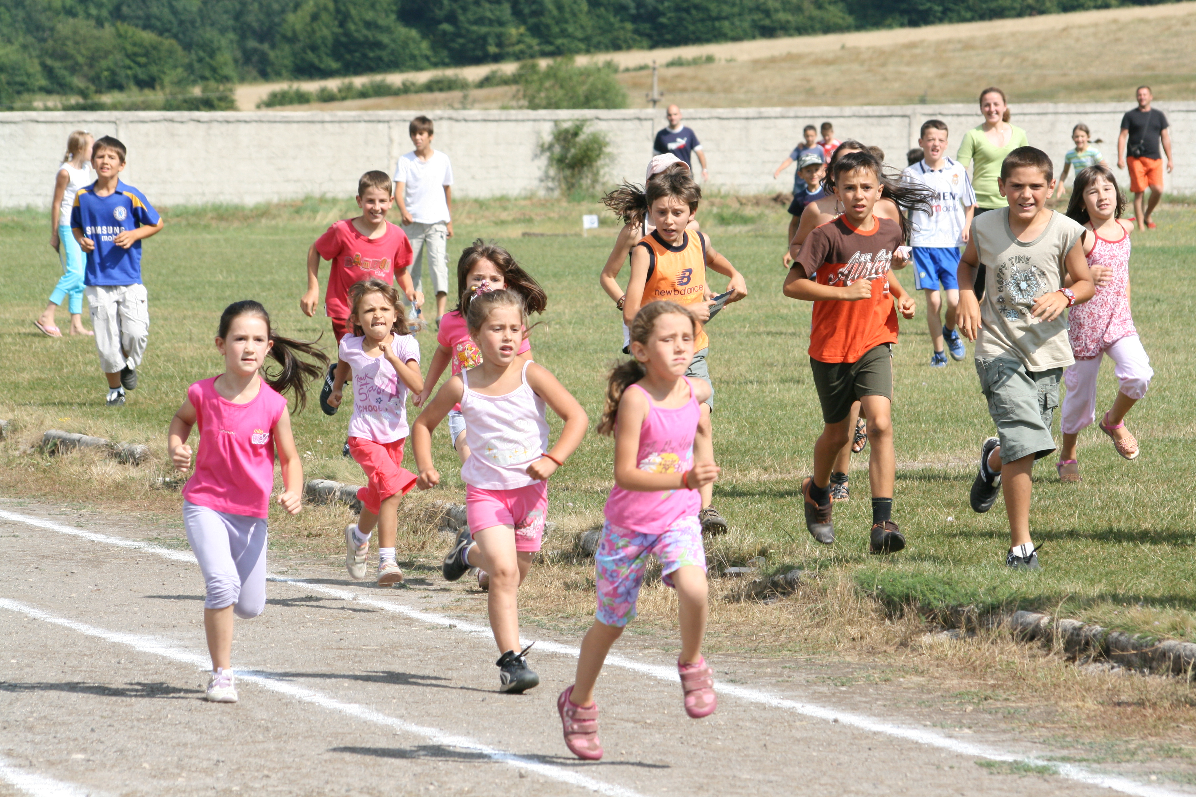 Sports and Cultural Festival of Regional Importance