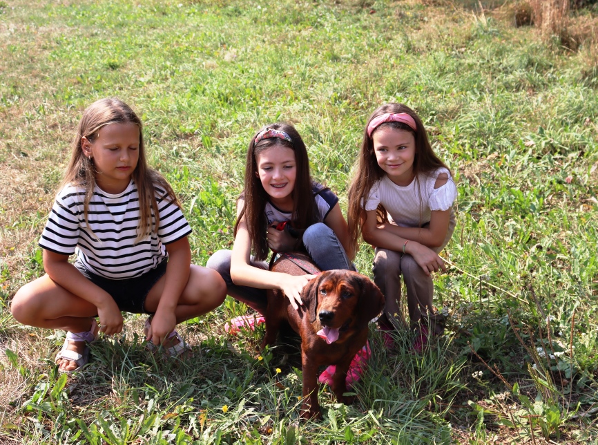 Children socializing with dogs at the Dog Show Nevesinjska olimpijada