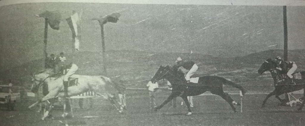 Horse Races