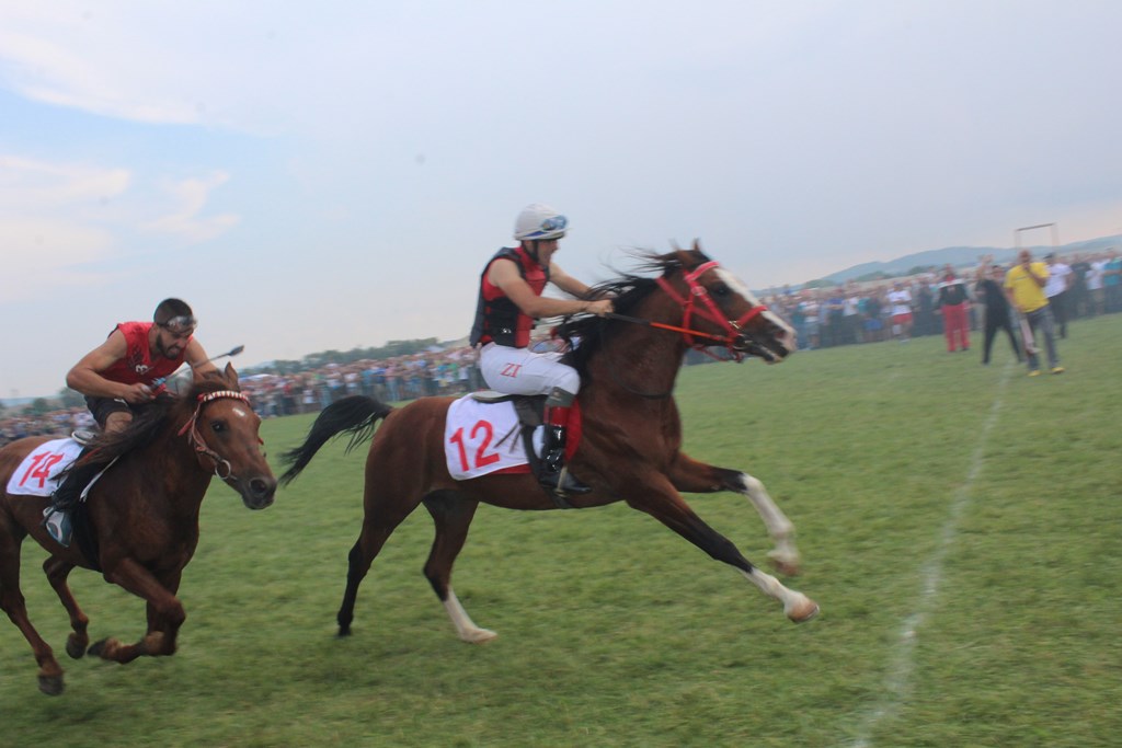 Horse races at Bratački Lug during the Nevesinjska olimpijada in Nevesinje